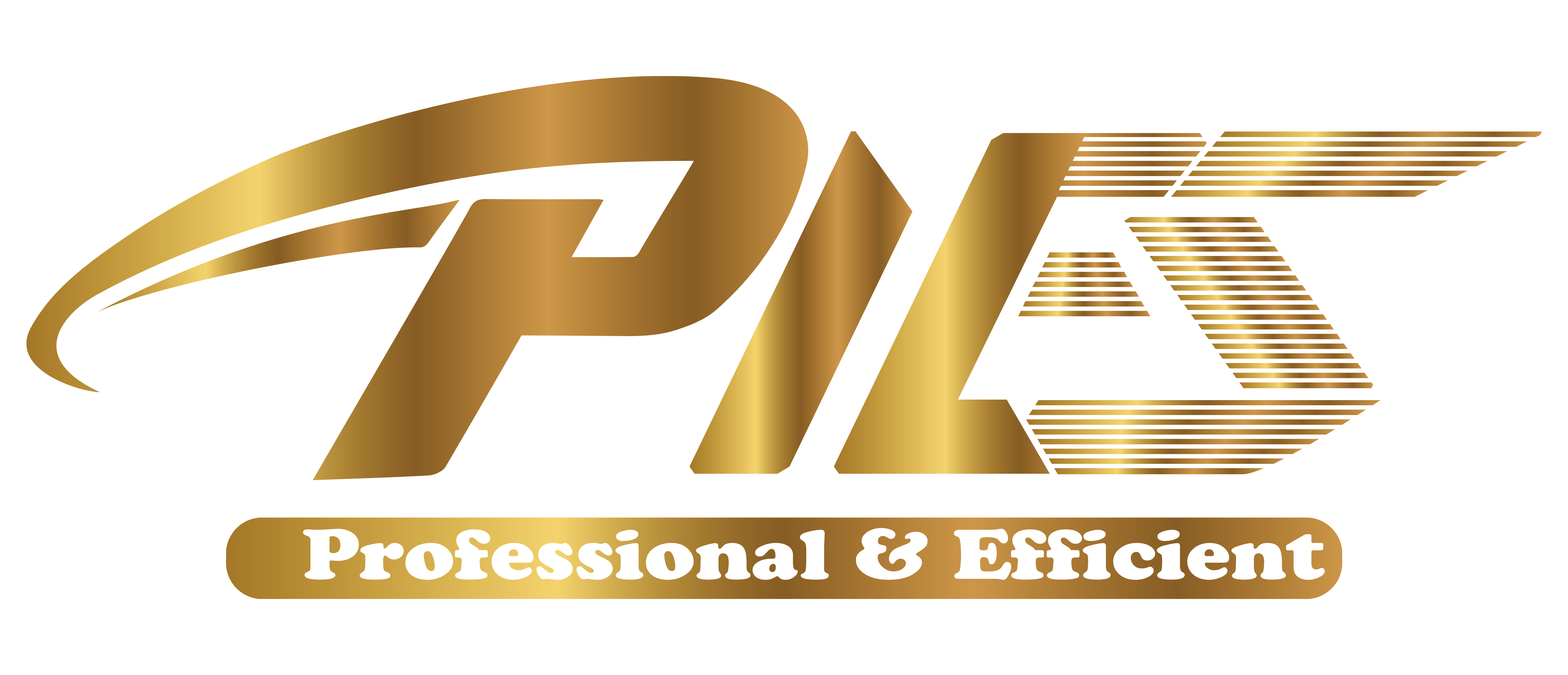 PIES GROUP